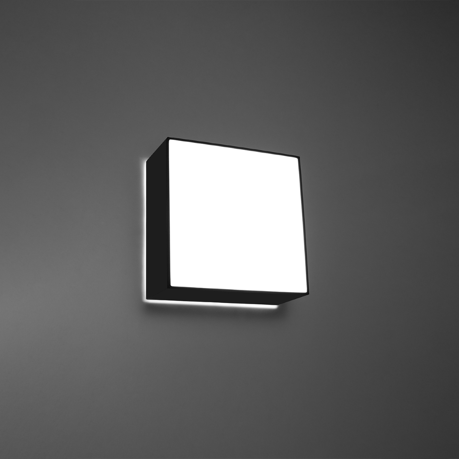 Ceiling Lamp Horus Black - Thumbnail 6